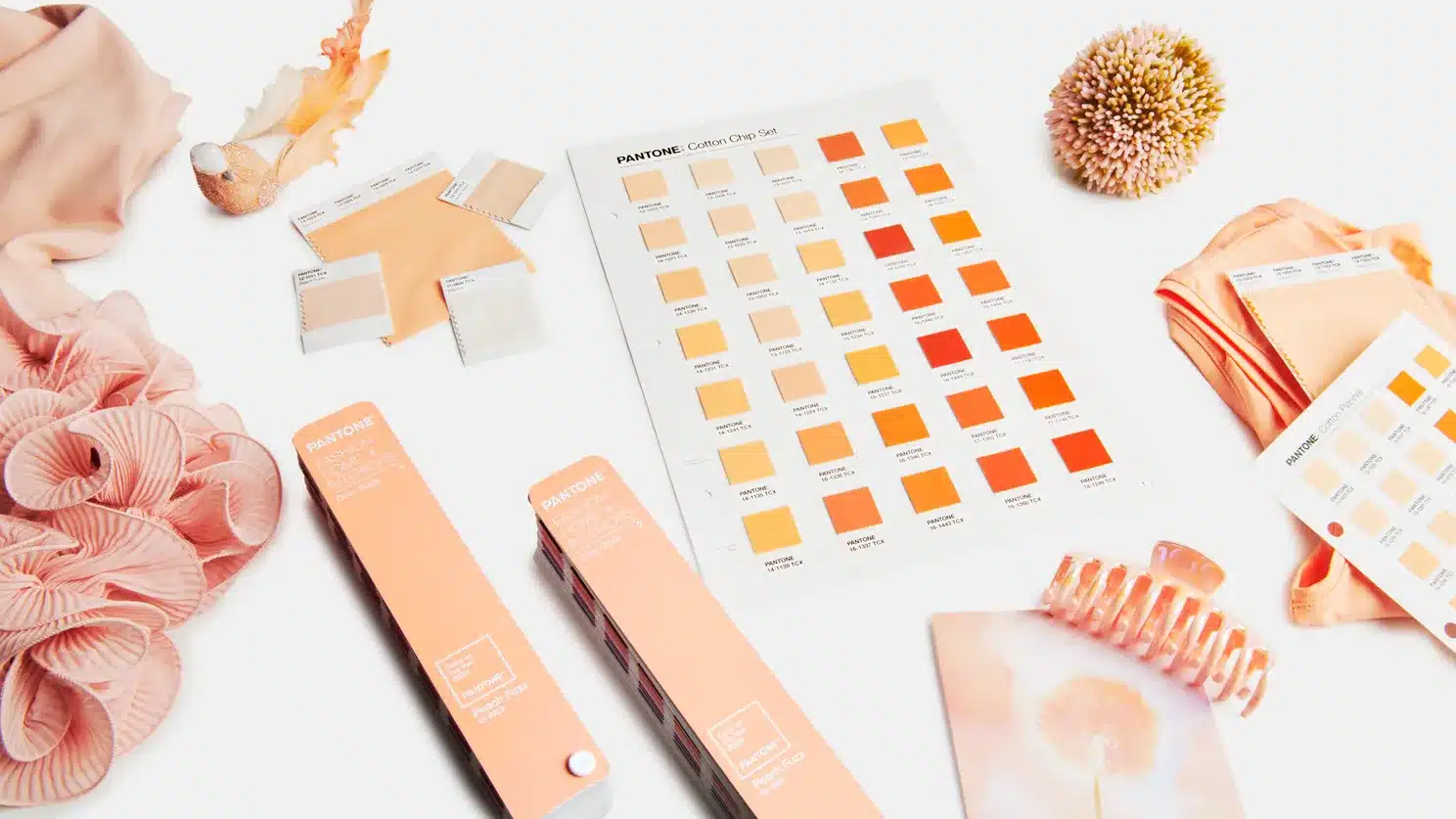 PANTONE 2024 : SON IMPACT SUR LE DESIGN